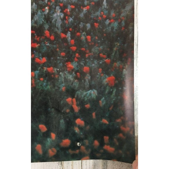 Ecclesiastes 3:1 To Everything There is a Season Vtg 1970s Book Club Poster - Picture 7 of 12